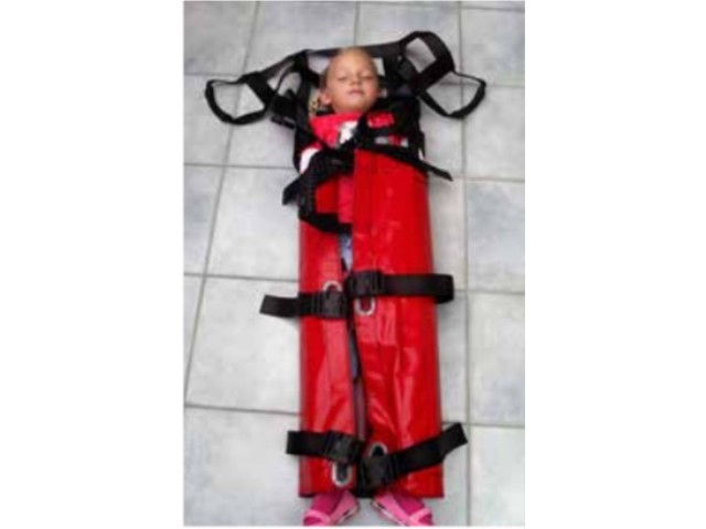 Weber Rescue PAT - STAB