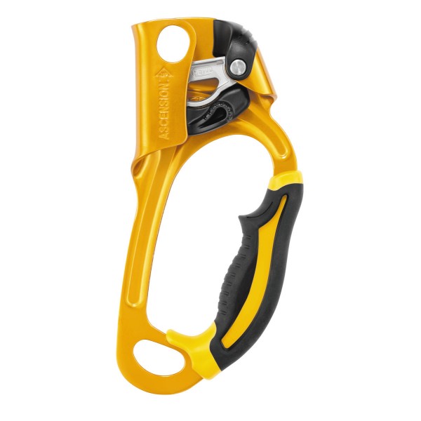 Petzl ASCENSION