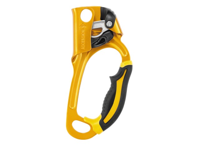 Petzl ASCENSION